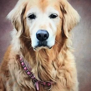 Meet your Posher, Kaye